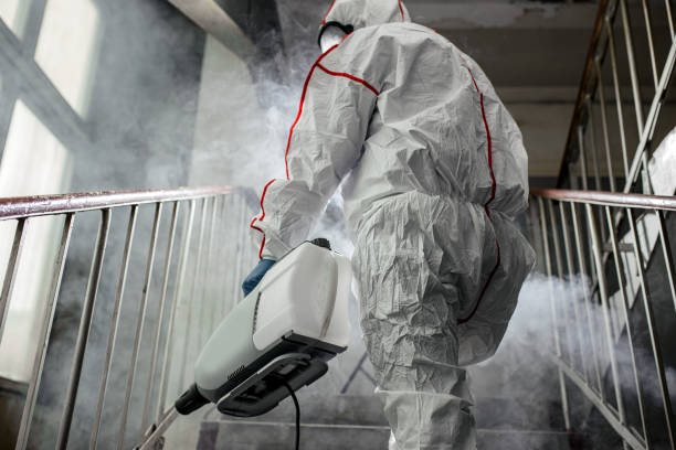 Why You Should Choose Our Mold Remediation Services in Hudson Oaks, TX